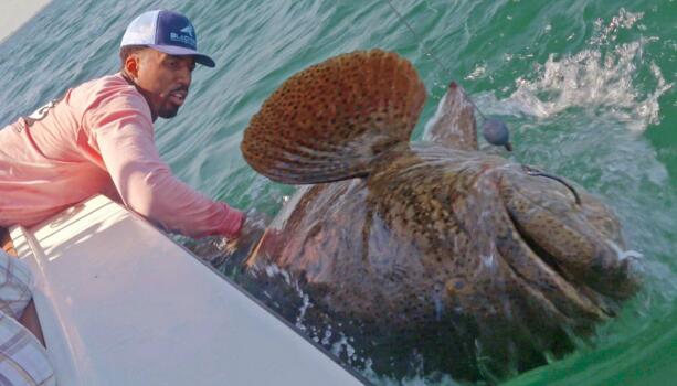 太大了!威尔森-钱德勒钓到巨大巨人石斑鱼