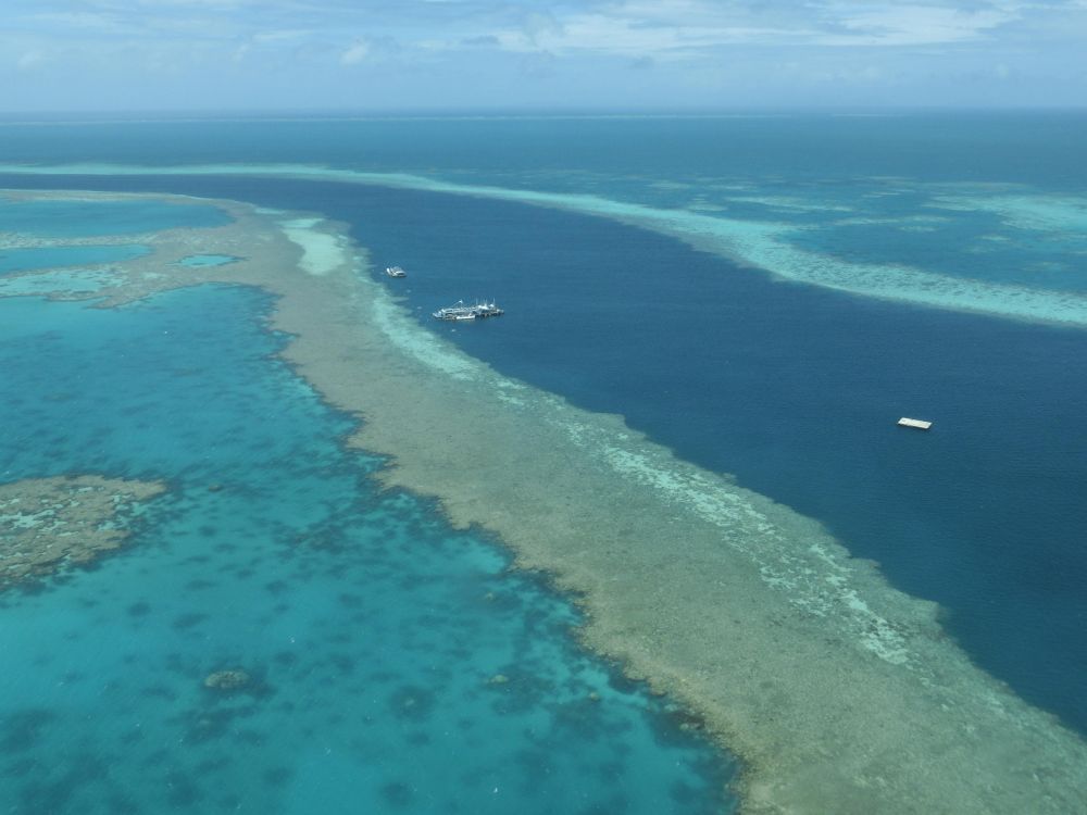 不解释快上船,一起探索神秘的大洋洲足球-直播